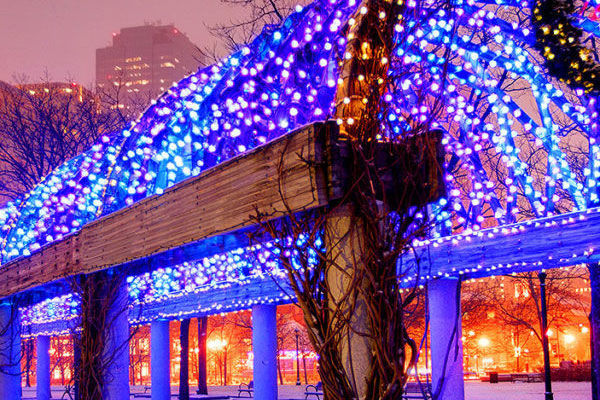 Experience the magic of the season